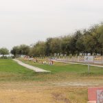 IMG_0816
