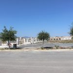 IMG_9058