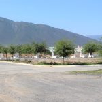 IMG_9070