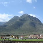 Terreno JArdin