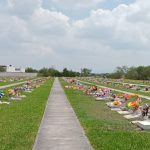terreno jardin