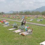 terreno jardin