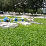 terreno jardin