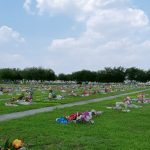 terreno jardin