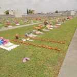 terreno jardin